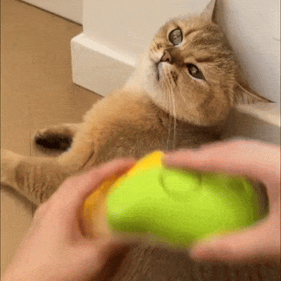 Lunas™ Steamy Brush for Cats – Brosse chauffante anti-nœuds